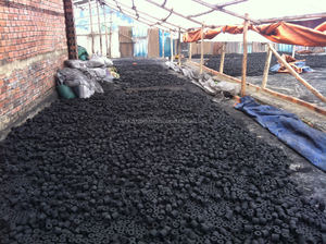 CHARBON DE NOIX DE COCO DU VIETNAM - Product Image 5