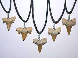 Collier en marbre naturel, fossiles, ammonites, dents de requin, goniatites, forme spéciale 2,3 cm - Product Image 2
