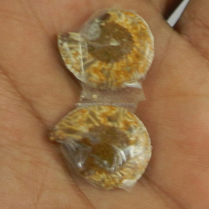Pierres précieuses amonite naturelles en vrac, pour la fabrication de bijoux, forme libre, 1 paire, 20x17mm, 3.60 Gms - Product Image 3