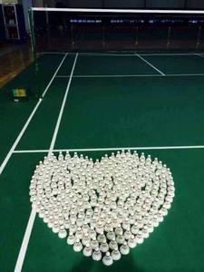 Volant de badminton professionnel de tournoi international BWF LIBOTAI 2021, plume de canard blanche, 4,8 g - Product Image 6