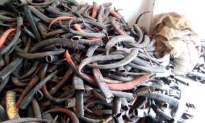 Corne du marmite/de bœuf/de vache, pour la décoration, fait en inde, matériel biologique Vintage poli rw0088, 34648 - Product Image 2