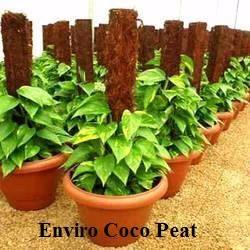 5 kg <b>Block</b> Coco <b>Coir</b> Peat at Lowest Price / Coconut <b>Coir</b> Pith / <b>Coir</b> With Neem Cake 50 50 Mixture Used As Pot Soil - Product Image 6