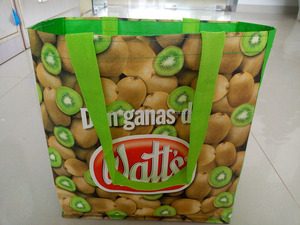 Bolsa de Compras Reutilizable Laminada Impresa en Grabado de PP Reciclable de Vietnam - Product Image 1