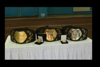 Ceinture de championnat de BJJ, de boxe et de Muay Thai, ceinture de champion, ceinture de trophée pour les vainqueurs