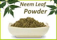 Terra Neem Leaf Powder Obatined From The 100% Neem Leaf Digunakan Sebagai Anti Inflamatory dan Anti Microbial Ways - Product Image 3