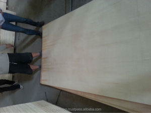 Contreplaqués d'acacia multicouches imperméables de première qualité - Durables et résistants aux taches pour une utilisation en extérieur - Product Image 2