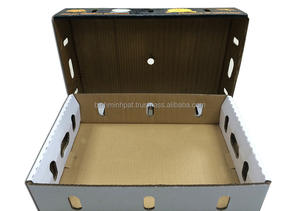 Cajas de Embalaje de Cartón Corrugado Impresas para Fruta de la Pasión - Product Image 5