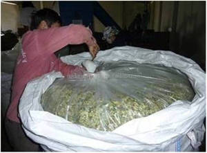 Ensilage de maïs à vendre prix bon marché, véritable fabricant du Vietnam ensilage de maïs fermenté