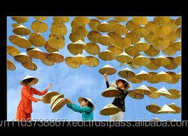 Feuilles coniques vietnamiennes / Non La vietnamien - Product Image 4