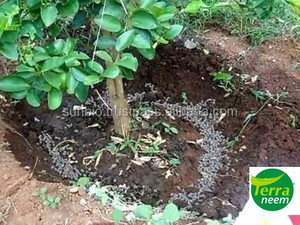 100% Pure <b>Organic</b> Neem Seed Cake <b>Fertilizer</b> Neem Kernel Residue in Retail Packing Powder Form - Product Image 2