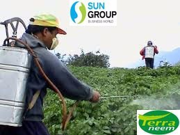 ปุ๋ยน้ำสะเดาธรรมชาติแบบ100% สกัดเย็นจากเมล็ดสะเดาบริสุทธิ์สำหรับพืชทางการเกษตรและฟาร์ม - Product Image 4