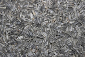 Pastel de semillas de girasol para caballos y ganado para uso - Product Image 2