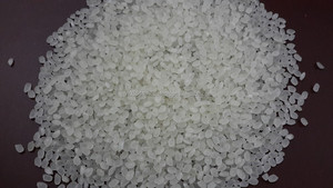 Arroz Blanco de Primera Calidad de Vietnam, Marca Carlose, Textura Dura, Grano Corto, Certificado GMO Cotecna - Product Image 4