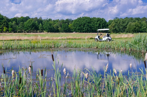 Bactéries pour le traitement des étangs/Bioremédiation des étangs - Product Image 5