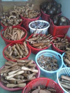 อุปกรณ์ทำครัวมะพร้าว - Product Image 4