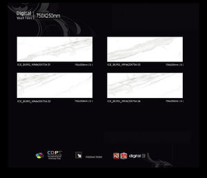 Azulejos de Cerámica Esmaltada de 25x75cm, Ladrillos Refractarios Rústicos de la India para Baño y Cocina, Aplicación en Paredes y Pisos Exteriores - Product Image 4