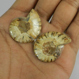 Gema Natural de amonita 9,85 Gms, 34x28mm, suelta, para fabricación de joyas, 1 par - Product Image 3