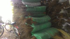 PALOS DE ESCOBA COCO VIETNAM - Product Image 2