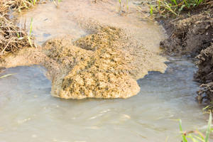 <b>Pond</b> Clarifier/ <b>Pond</b> <b>Cleaner</b>/<b>Pond</b> Bioremediation - Product Image 3