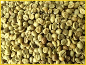 Robusta ออร์แกนิกและอาราบิก้าเมล็ดกาแฟเขียว13/16/18แบบคั่วทั้งแบบบรรจุในถุงปอกระเจาส่งตรงจากฟาร์ม - Product Image 3
