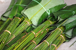 ดงสดคุณภาพสูงและ2020ถูกที่สุด - Product Image 4