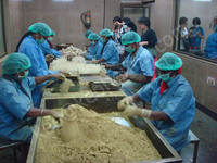 Poudre de coloration capillaire semi-permanente Arshia Henna Marron Vertâtre HALAL Biologique Certifiée ISO Coloration Facile Inoffensive
