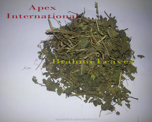 Whole <b>Plant</b> Bacopa Monnieri Bacopa Bramhi <b>DRIED</b> <b>PLANT</b> - Product Image 4