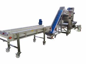 Uva de cinturón - Product Image 2