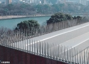 鳥の怪我を防ぎ、耐久性のある鳥の恐怖のキャノン日本製の鳥のスパイク