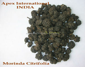 ผลไม้โนนิ (Morinda Citrifolia) คุณภาพพรีเมียม อบแห้งตามธรรมชาติ ปราศจากสารกำจัดศัตรูพืช Apex India - Product Image 2