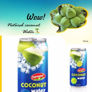 Agua de Coco 500ml, Venta al por Mayor, Marcas de Bebidas JOJONAVI, Lata de Aluminio - Product Image 2