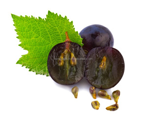 Huile essentielle de pépins de raisin en vrac de haute qualité pour un usage quotidien grande quantité du fabricant - Product Image 2