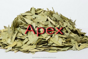 Extrait de feuilles de Senna, cosplay, pots et tiges - Product Image 4