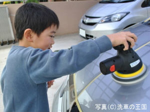 Dual-action <b>Car</b> <b>Polisher</b> CORDLESS POWER <b>POLISHER</b> Superior <b>Car</b> Care - Product Image 6