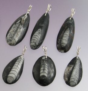 Collier en marbre naturel avec fossiles d'ammonites, dents de requin et goniatites, forme spéciale 2,3 cm - Product Image 6