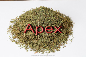 Bacopa Monnieri พืชทั้งต้น Bacopa Jal Brahmi Bramhi Herb - Product Image 3