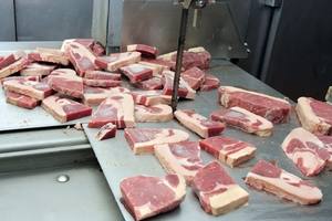 ใบเลื่อยอาหารคุณภาพสูงสุด ผลิตจากเหล็กคุณภาพดีที่สุดจากเวียดนาม ราคาดีที่สุด - Product Image 4