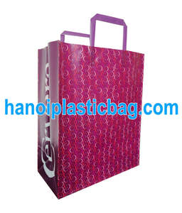 Bolsa de Transporte de HDPE Hanoiplasticbag con Asa de Tela para Compras - Precio Competitivo - Product Image 2