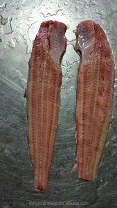 Lot de blocs de corps en vrac de poisson-chat, 20 pièces, fournitures mélangées de qualité supérieure, emballage de Style, en forme d'os, rond ou HG