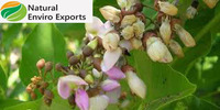 Aceite de Karanja Orgánico 100% Puro, Grado de Exportación, en Envase IBC de 1000 Litros, para Uso Agrícola y Cuidado de la Piel
