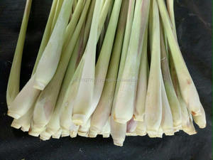 Hierba de limón seca - Product Image 2