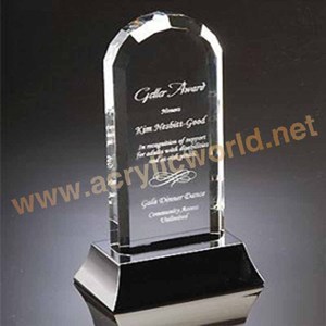 รางวัลอะคริลิกแบบกําหนดเองที่กําหนดเอง, ถ้วยรางวัลอะคริลิก, บล็อกถ้วยรางวัลที่สร้างสรรค์และมีสไตล์ - Product Image 5