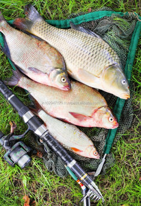 Tilapia Vis Probiotica - Product Image 4