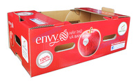 Boîtes d'emballage de fruits ondulées pommes, en papier, de haute qualité, imprimées avec le Logo des mariés, 5 pièces