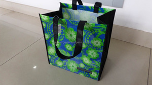 Bolsa reutilizable PPN de Vietnam - Product Image 1