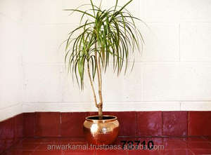 Maceta de flores de cobre martillado de tarifa mayorista muy barata de lujo en stock - Product Image 2