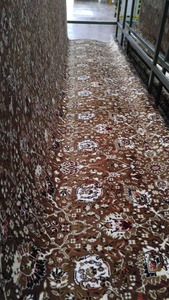 พรมปูพื้นแบบเต็มผืน ดีไซน์ TR1060 - Product Image 3