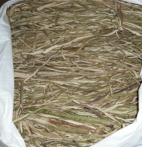 جذع تارو مجفف 2021 - Product Image 4