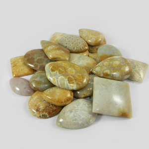 ปะการังธรรมชาติ26ชิ้น,อัญมณีทรงหลวม100 Gms Cabochon แบบอิสระสำหรับทำเครื่องประดับ - Product Image 4