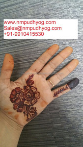 Encre temporaire au henné à vendre pour autocollants de tatouage - Product Image 4